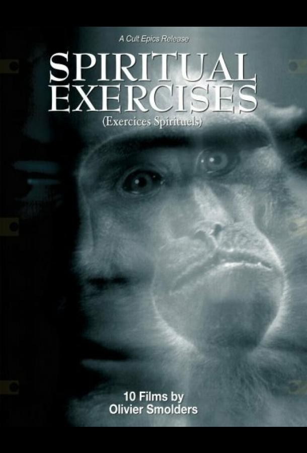 Любитель (1996)