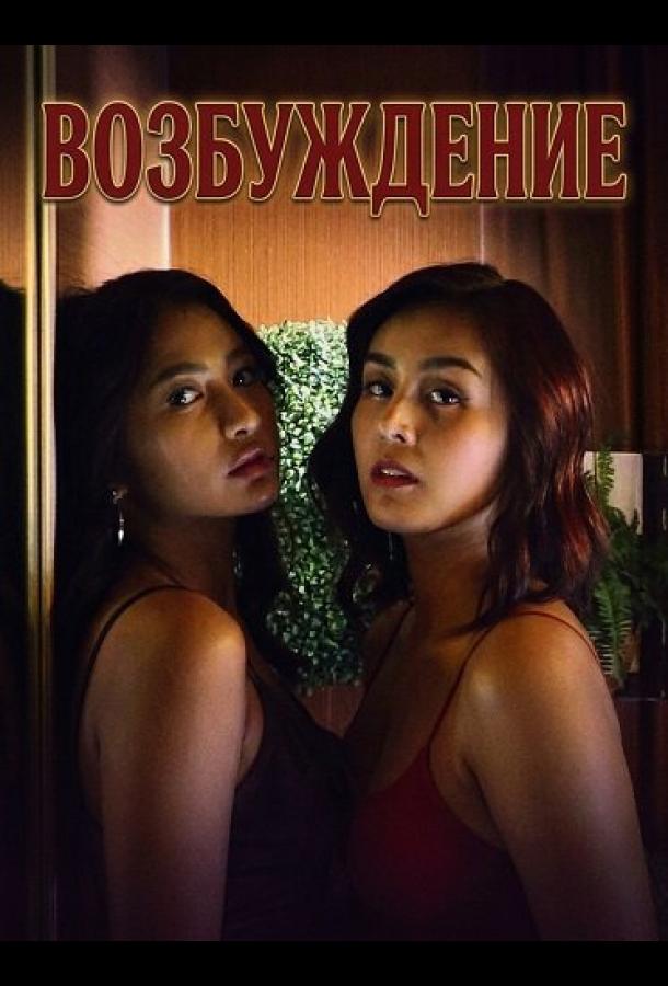 Возбуждение (2025)