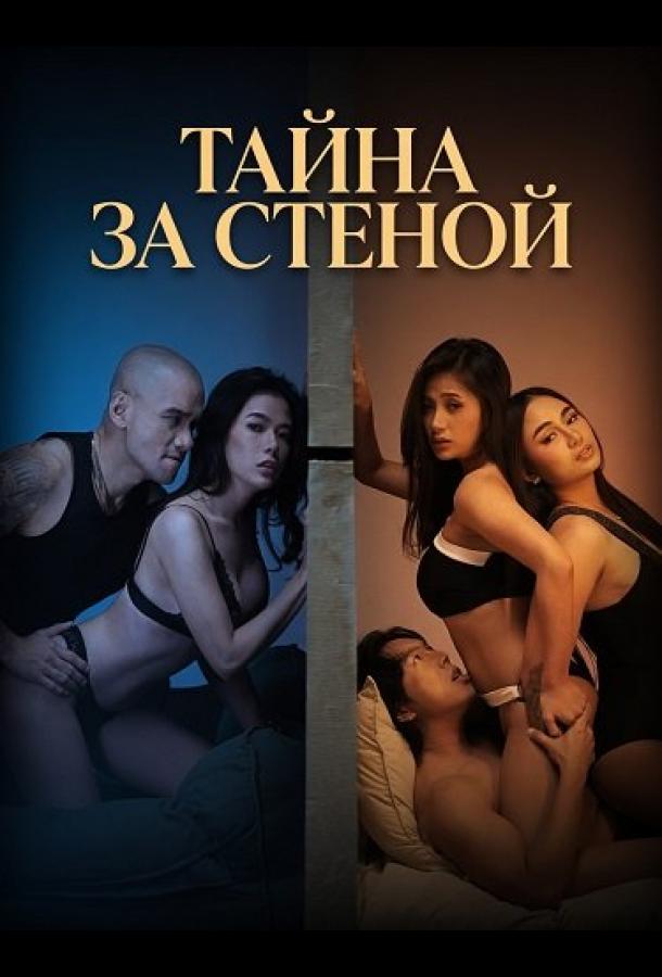 Тайна за стеной (2026)